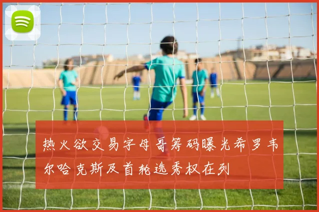 热火欲交易字母哥筹码曝光希罗韦尔哈克斯及首轮选秀权在列